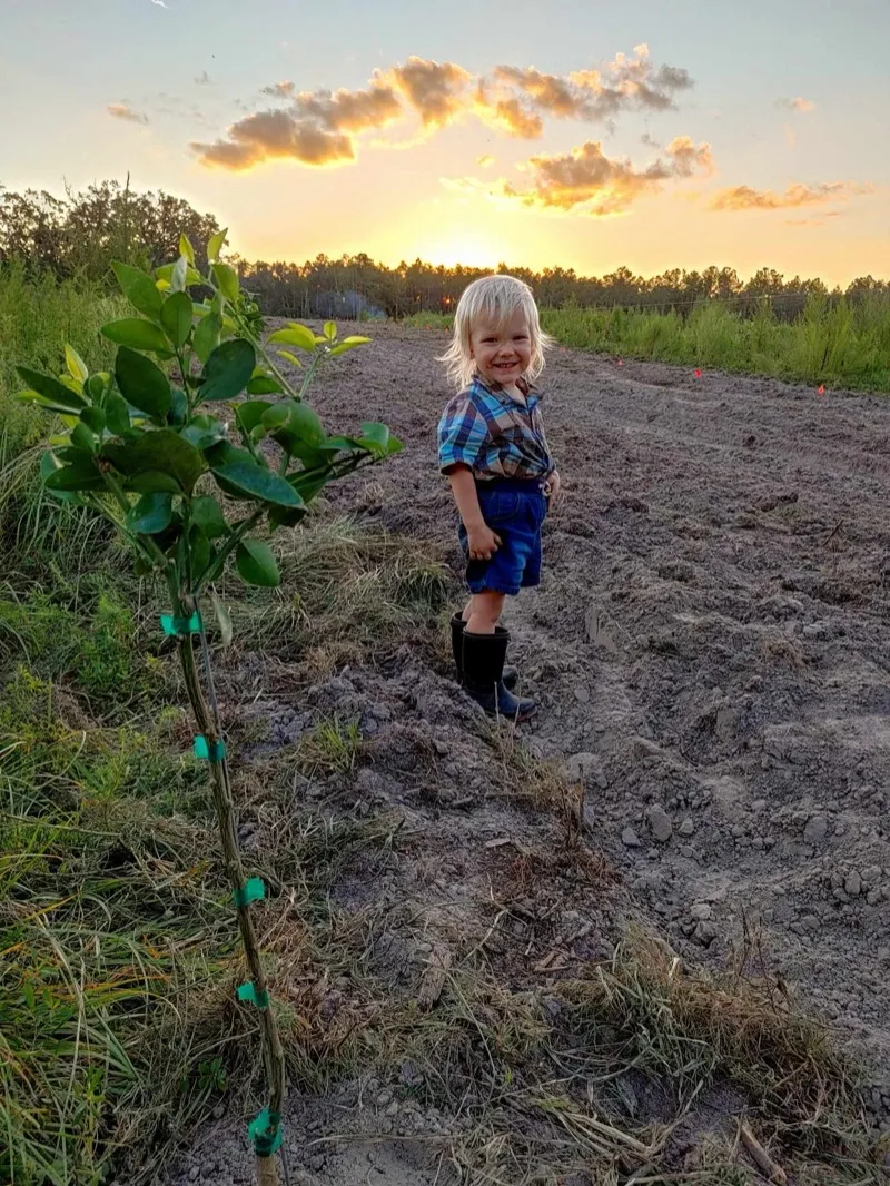North Florida agriculture